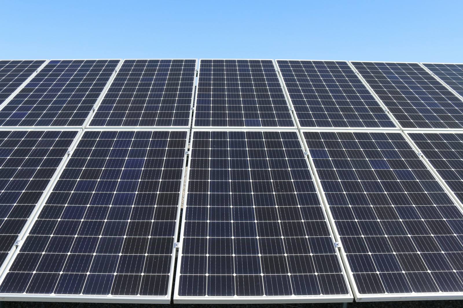 A wide field of solar modules in daylight